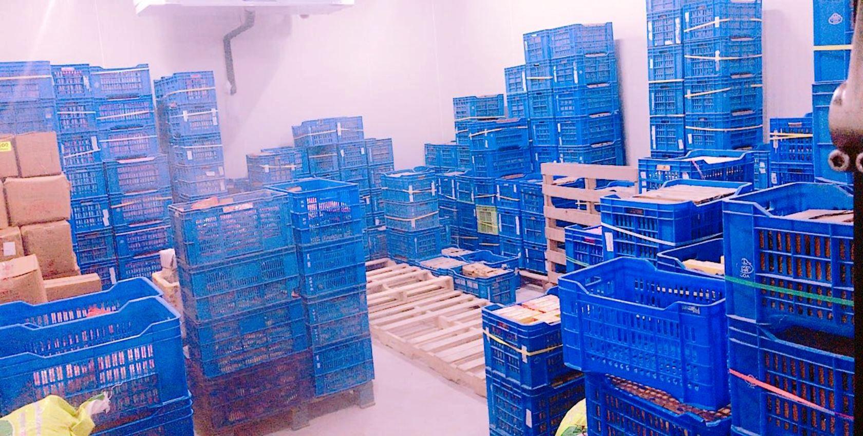 Popular Snowman cold storage facility